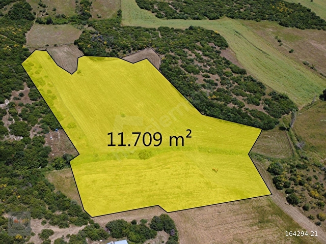 DEVRET GAYRİMENKULDEN SATILIK 11.709 m2 TARIM ARAZİSİ - Görsel 11
