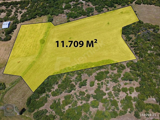 DEVRET GAYRİMENKULDEN SATILIK 11.709 m2 TARIM ARAZİSİ - Görsel 3