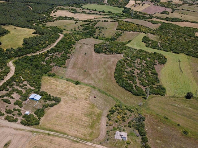 DEVRET GAYRİMENKULDEN SATILIK 11.709 m2 TARIM ARAZİSİ - Görsel 26