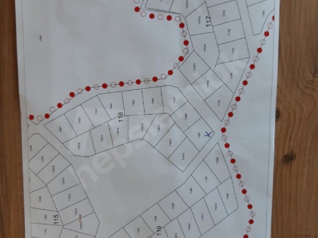 Orman ve Deniz Manzaralı, Yolu Açılmış, Elektrik ve Suyu Hazır, İmarlı Arsa - Görsel 7