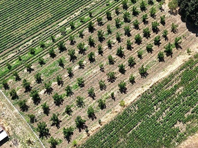 DAĞKADIDA KÖYÜN MERKEZİNDE İMAR ÇALIŞMASINDA 5 DÖNÜM ARAZİ - Görsel 10