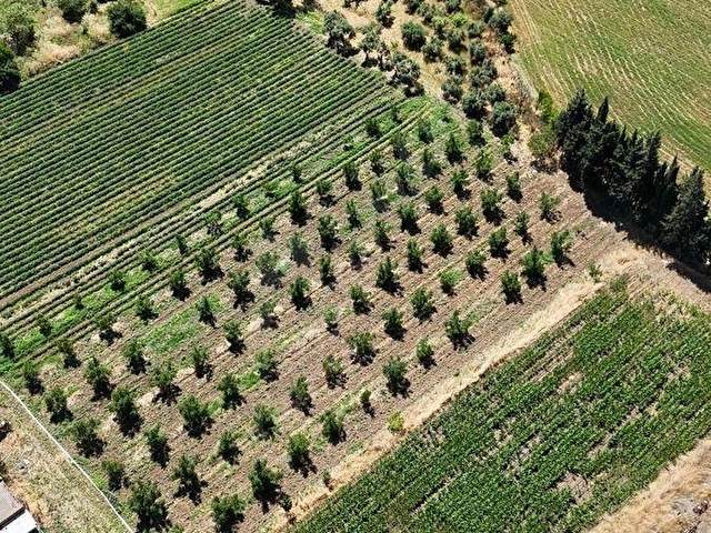 DAĞKADIDA KÖYÜN MERKEZİNDE İMAR ÇALIŞMASINDA 5 DÖNÜM ARAZİ - Görsel 18
