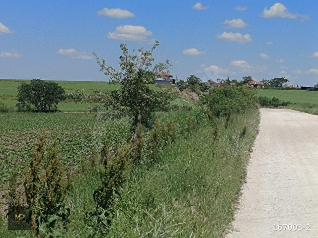 7500 M2 İMARA BİTİŞİK ASFALT CEPHE ÇİFTLİĞE UYGUN ARAZİ - Görsel 6