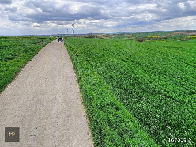 7500 M2 İMARA BİTİŞİK ASFALT CEPHE ÇİFTLİĞE UYGUN ARAZİ - Görsel 30