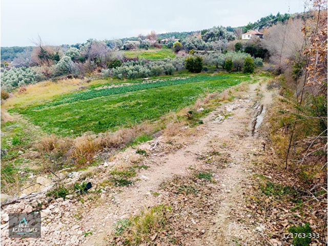 SEYDİKEMER BAĞLIAĞAÇ KÖY İÇİ İMARLI 4958 M2 KADASTOL YOLU VAR - Görsel 4
