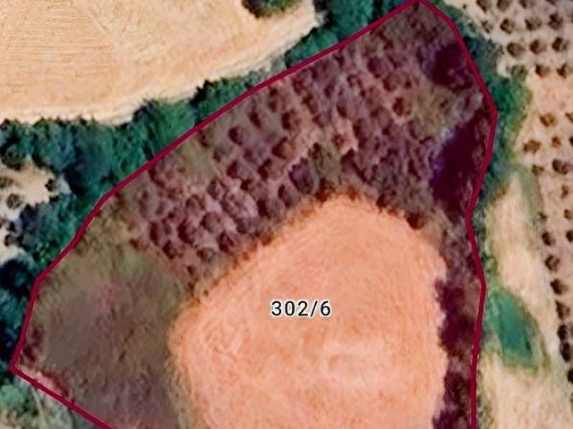 SEYDİKEMER BAĞLIAĞAÇ KÖY İÇİ İMARLI 4958 M2 KADASTOL YOLU VAR - Görsel 3