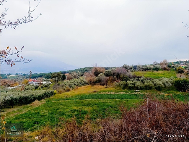 SEYDİKEMER BAĞLIAĞAÇ KÖY İÇİ İMARLI 4958 M2 KADASTOL YOLU VAR - Görsel 2