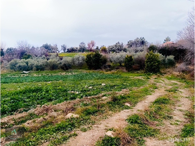 SEYDİKEMER BAĞLIAĞAÇ KÖY İÇİ İMARLI 4958 M2 KADASTOL YOLU VAR - Görsel 5