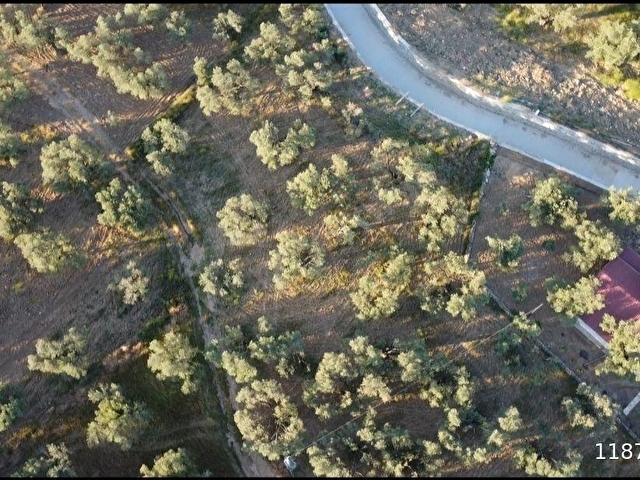 Özgünden TAYLIELİ nde iskeleye yakın 2832 m2 yola cepheli - Görsel 14