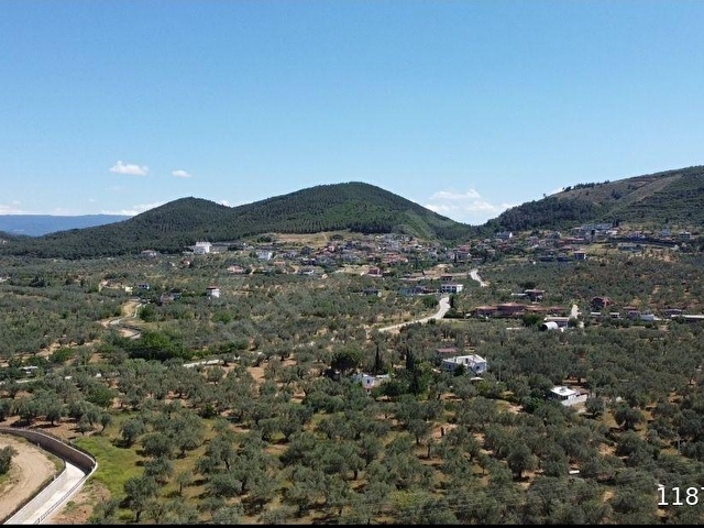 Özgünden TAYLIELİ nde iskeleye yakın 2832 m2 yola cepheli - Görsel 10