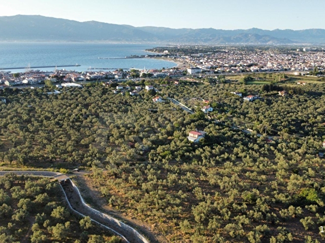 Özgünden TAYLIELİ nde iskeleye yakın 2832 m2 yola cepheli - Görsel 6
