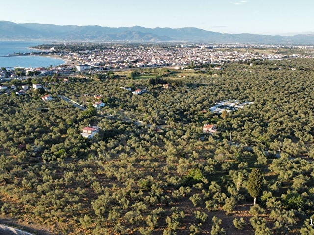 Özgünden TAYLIELİ nde iskeleye yakın 2832 m2 yola cepheli - Görsel 7