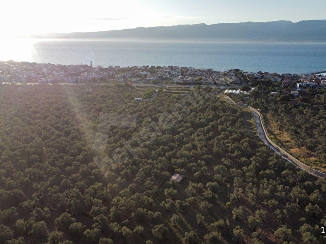 Özgünden TAYLIELİ nde iskeleye yakın 2832 m2 yola cepheli - Görsel 5