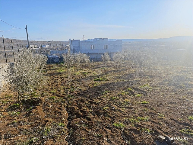 ŞEHİR MERKEZİNE 14-15 Km MESAFEDE ANA YOL ÜSTÜ 2000mt2 TARLA - Görsel 13