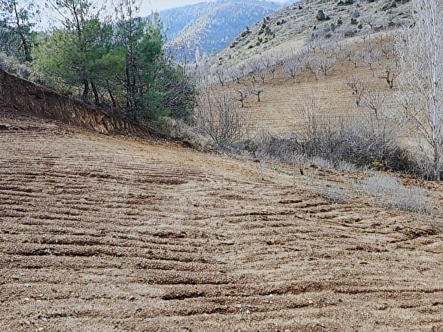 ARAÇ TAKASLI !KÜREYE 5 DK,İÇİ DÜZELTİLMİŞ 1.450 M2 SATILIK ARAZİ - Görsel 9