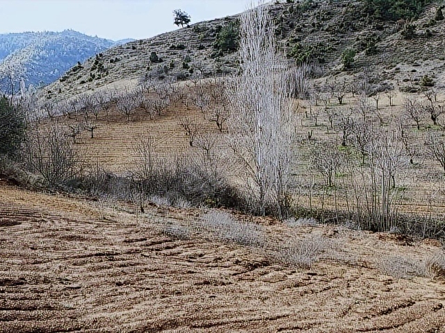 ARAÇ TAKASLI !KÜREYE 5 DK,İÇİ DÜZELTİLMİŞ 1.450 M2 SATILIK ARAZİ - Görsel 11