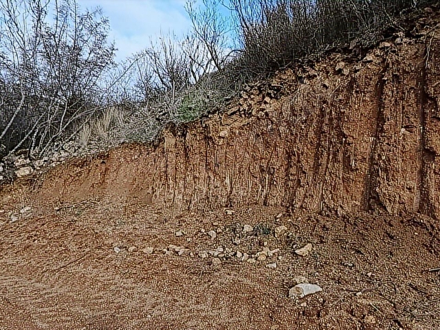 ARAÇ TAKASLI !KÜREYE 5 DK,İÇİ DÜZELTİLMİŞ 1.450 M2 SATILIK ARAZİ - Görsel 8