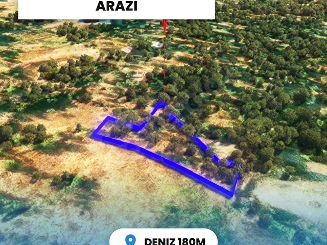 DENİZ KIYISINDA YATIRIMLIK ZEYTİNLİK - Görsel 3