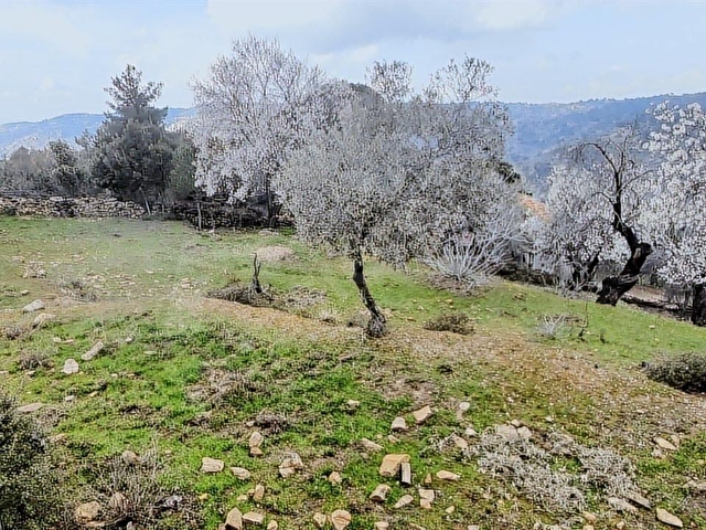 Doğanın Kalbinde 4.893 m² Bahçeli Müstakil Ev Köy Hayatına Kaçış - Görsel 25