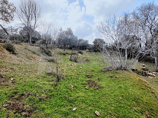 Doğanın Kalbinde 4.893 m² Bahçeli Müstakil Ev Köy Hayatına Kaçış - Görsel 21