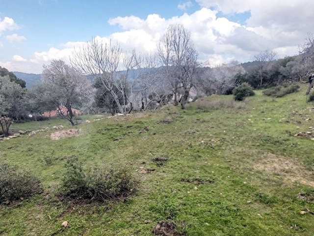 Doğanın Kalbinde 4.893 m² Bahçeli Müstakil Ev Köy Hayatına Kaçış - Görsel 29