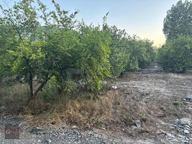 NYSA EMLAKTAN 250 M2 İNŞAAT İZNİ BULUNAN 4.326 M2 SATILIK TARLA - Görsel 8