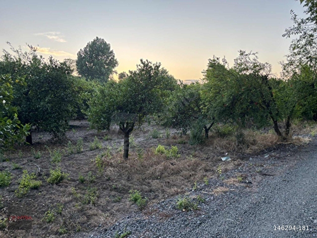 NYSA EMLAKTAN 250 M2 İNŞAAT İZNİ BULUNAN 4.326 M2 SATILIK TARLA - Görsel 4