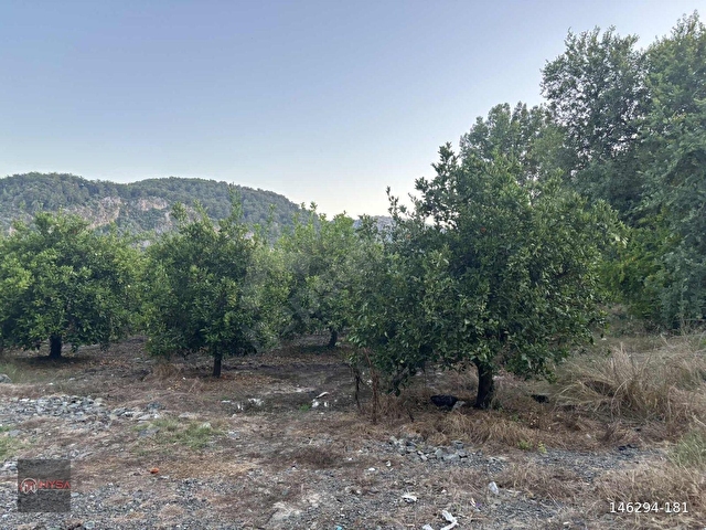 NYSA EMLAKTAN 250 M2 İNŞAAT İZNİ BULUNAN 4.326 M2 SATILIK TARLA - Görsel 13