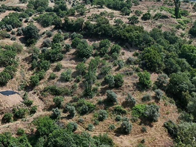 PEK EMLAKTAN EĞRİDERE DE KAZANCI YÜKSEK KAYNAK SULU İNCİRLİK - Görsel 8