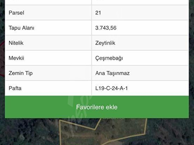 PEK EMLAKTAN EĞRİDERE DE KAZANCI YÜKSEK KAYNAK SULU İNCİRLİK - Görsel 12