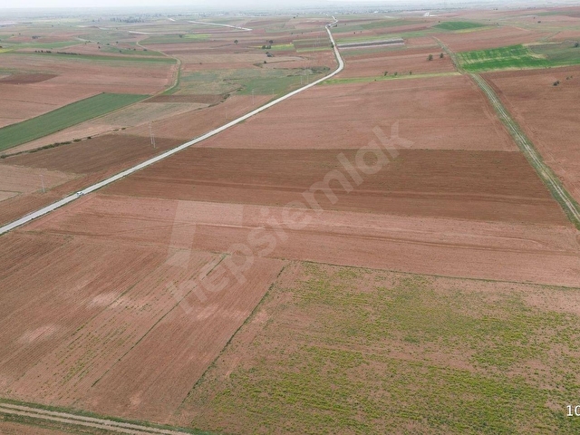 GÜNEYSINIR AYDOĞMUŞDA 12.477 M2 MÜSTAKİL TAPULU ASFALT YOLA CEPHELİ TARLA - Görsel 9