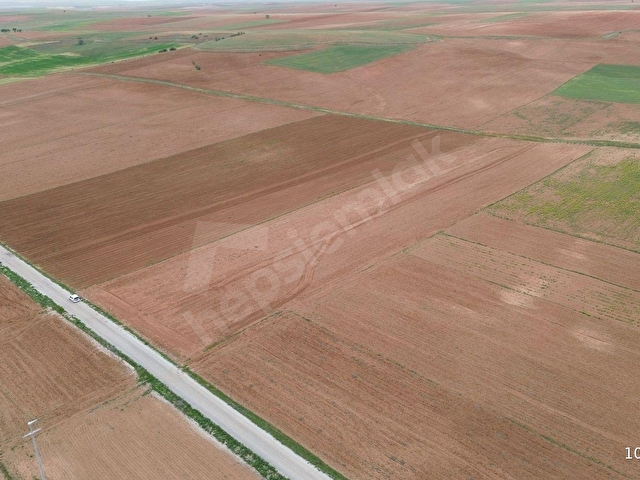 GÜNEYSINIR AYDOĞMUŞDA 12.477 M2 MÜSTAKİL TAPULU ASFALT YOLA CEPHELİ TARLA - Görsel 5
