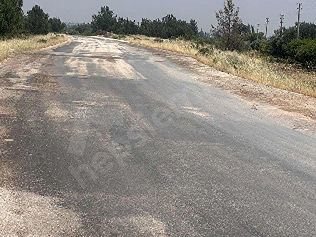 Aydınlar Çığlıkta nar bahçesi - Görsel 15