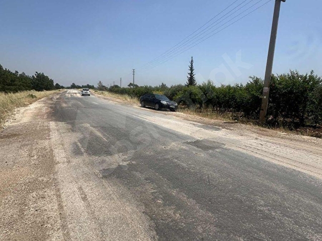 Aydınlar Çığlıkta nar bahçesi - Görsel 13
