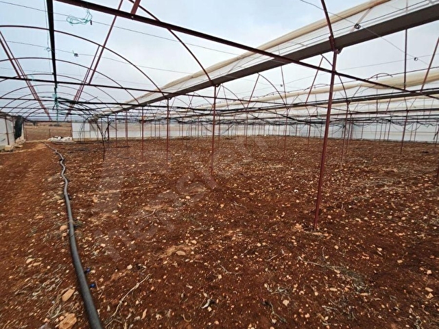 ANTALYA ELMALI KÜÇÜKSÖĞLE MAHDE ELEKTRİĞİ, SONDAJI VE YOLU BULUNAN 30.000m2 SATILIK KAPALI SERA - Görsel 22