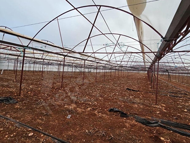 ANTALYA ELMALI KÜÇÜKSÖĞLE MAHDE ELEKTRİĞİ, SONDAJI VE YOLU BULUNAN 30.000m2 SATILIK KAPALI SERA - Görsel 21