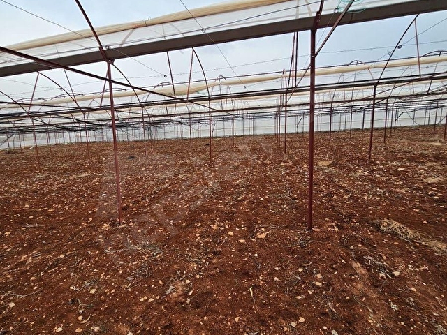 ANTALYA ELMALI KÜÇÜKSÖĞLE MAHDE ELEKTRİĞİ, SONDAJI VE YOLU BULUNAN 30.000m2 SATILIK KAPALI SERA - Görsel 29