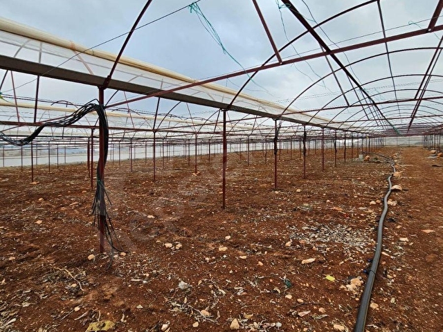 ANTALYA ELMALI KÜÇÜKSÖĞLE MAHDE ELEKTRİĞİ, SONDAJI VE YOLU BULUNAN 30.000m2 SATILIK KAPALI SERA - Görsel 26