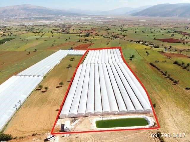 ANTALYA ELMALI KÜÇÜKSÖĞLE MAHDE ELEKTRİĞİ, SONDAJI VE YOLU BULUNAN 30.000m2 SATILIK KAPALI SERA