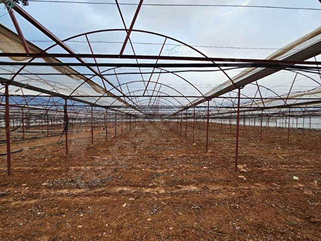 ANTALYA ELMALI KÜÇÜKSÖĞLE MAHDE ELEKTRİĞİ, SONDAJI VE YOLU BULUNAN 30.000m2 SATILIK KAPALI SERA - Görsel 19