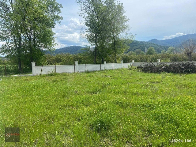 NYSA EMLAKTAN SATILIK 500 M2 SATILIK HİSSELİ TARLA - Görsel 4