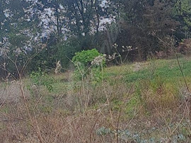 İZMİT KURTDERE KÖY İÇİ SATILIK ARAZİ