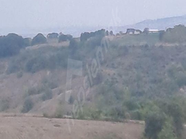 İZMİT KURTDERE KÖY İÇİ SATILIK ARAZİ - Görsel 15