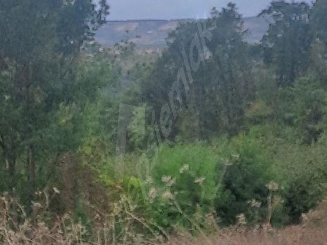 İZMİT KURTDERE KÖY İÇİ SATILIK ARAZİ - Görsel 5