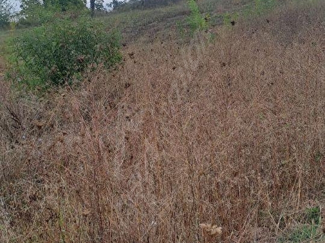 İZMİT KURTDERE KÖY İÇİ SATILIK ARAZİ - Görsel 20
