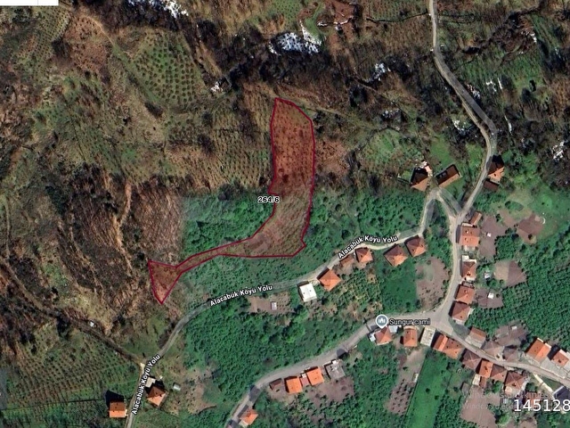 Ereğli Alacabükte 5.860 m² Yetişkin Fındık Bahçesi - Görsel 5