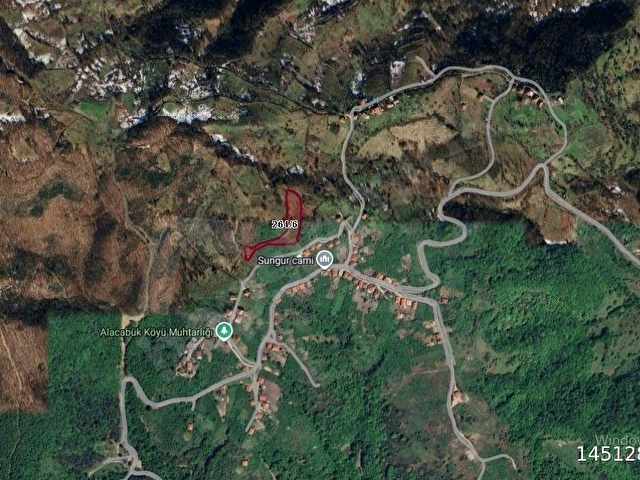Ereğli Alacabükte 5.860 m² Yetişkin Fındık Bahçesi - Görsel 4