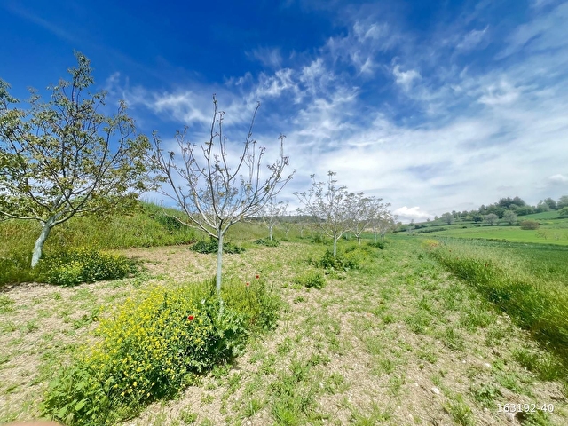 BURSA FİNANSTAN YENİŞEHİR İNCİRLİDE 1700 M2 SATLK TEK TAPU TARLA - Görsel 20