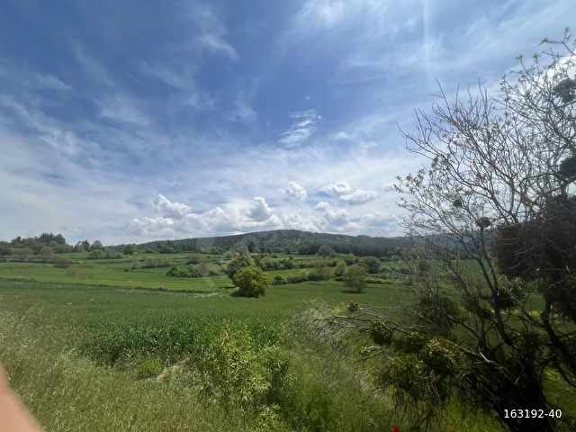 BURSA FİNANSTAN YENİŞEHİR İNCİRLİDE 1700 M2 SATLK TEK TAPU TARLA - Görsel 4