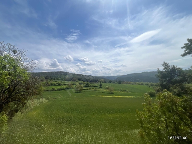 BURSA FİNANSTAN YENİŞEHİR İNCİRLİDE 1700 M2 SATLK TEK TAPU TARLA - Görsel 12